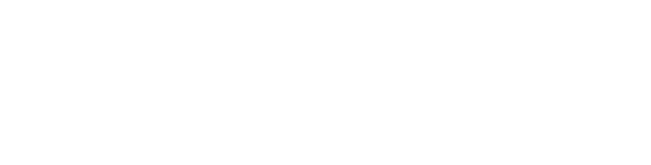 Proton e.MAS